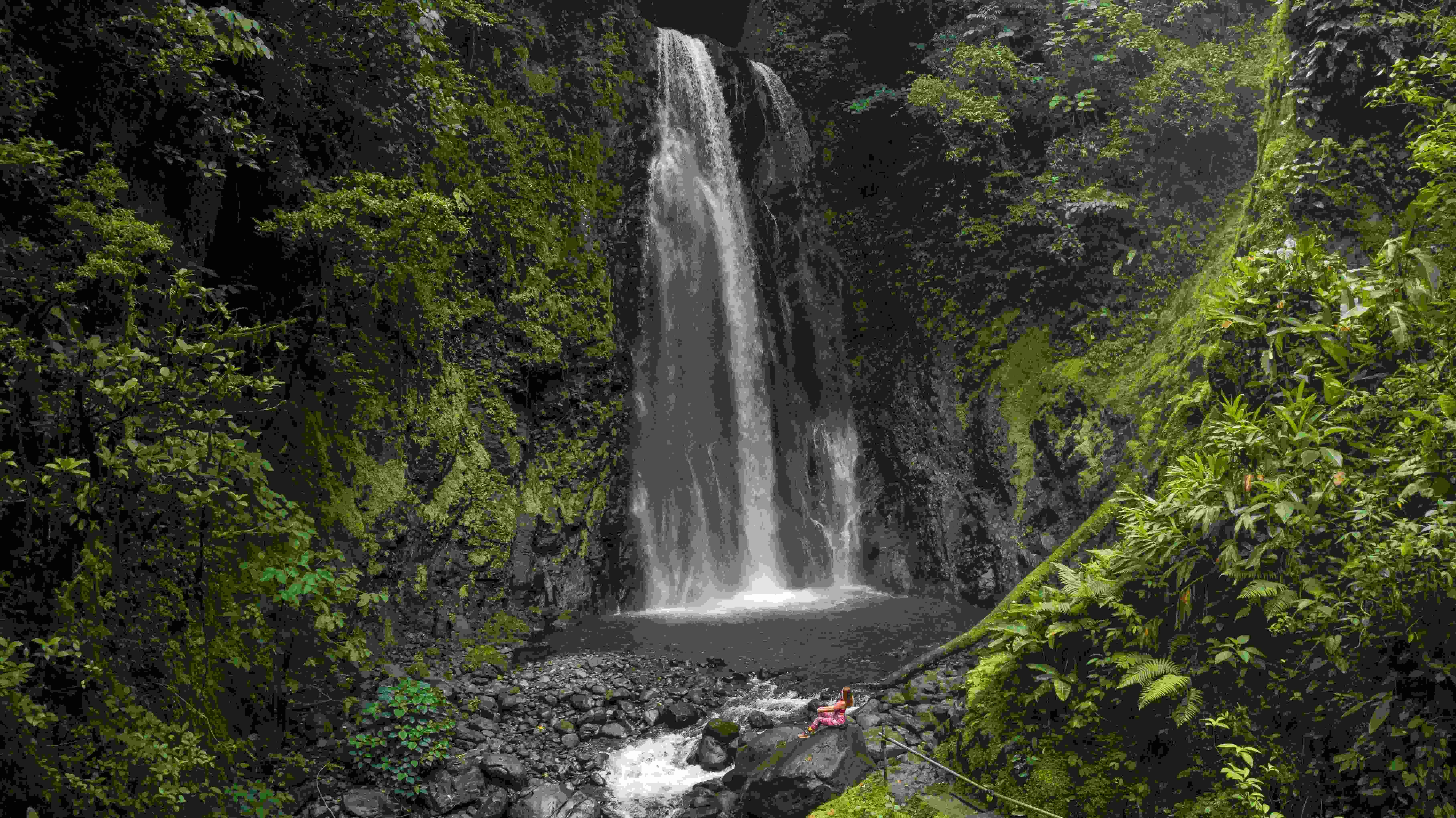 Majestueuse cascade entourée de végétation luxuriante et d’une rivière à Monteverde, Costa Rica.