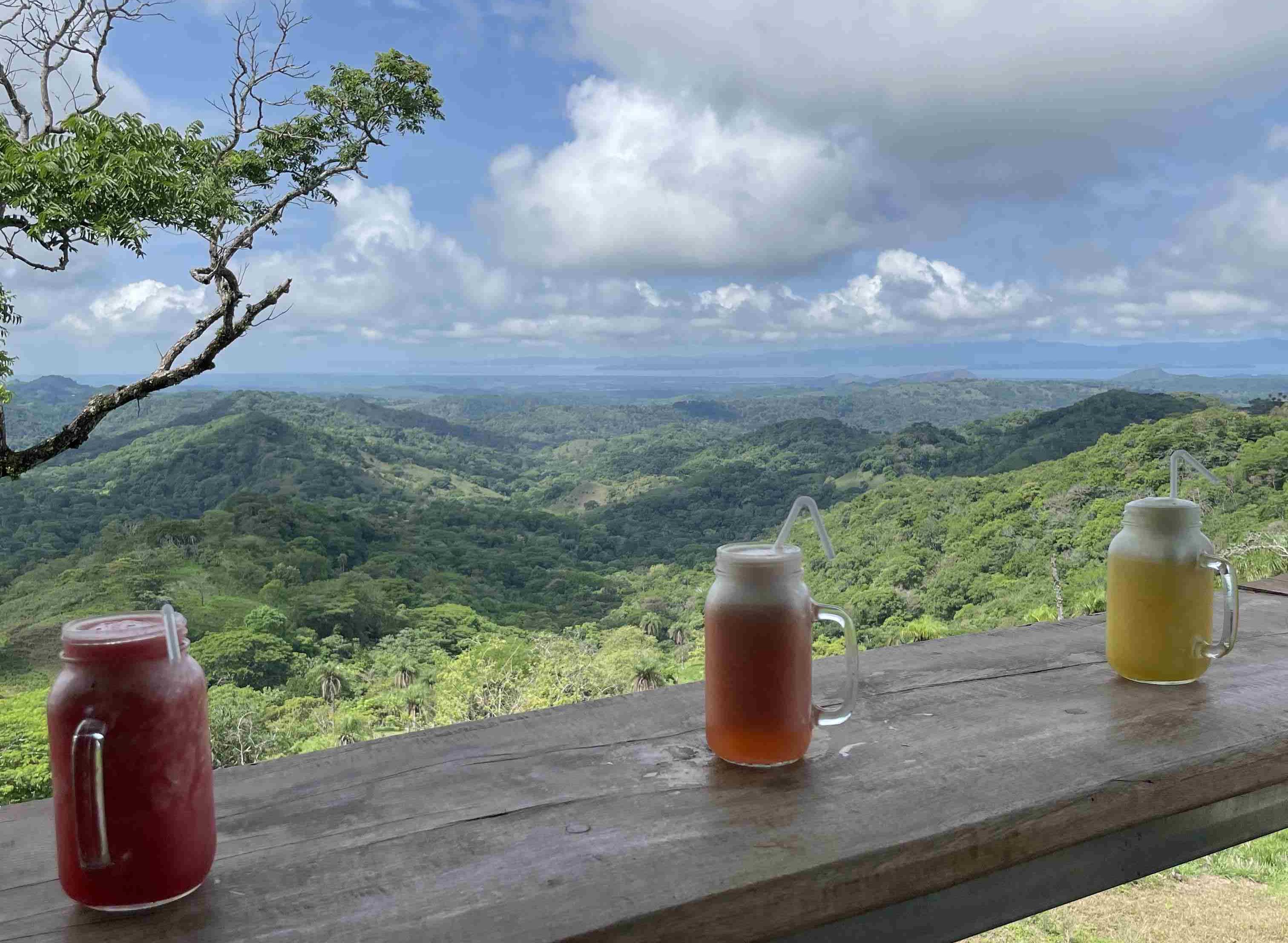 Three refreshing drinks on a balcony overlooking the stunning landscapes of Monteverde, Costa Rica.