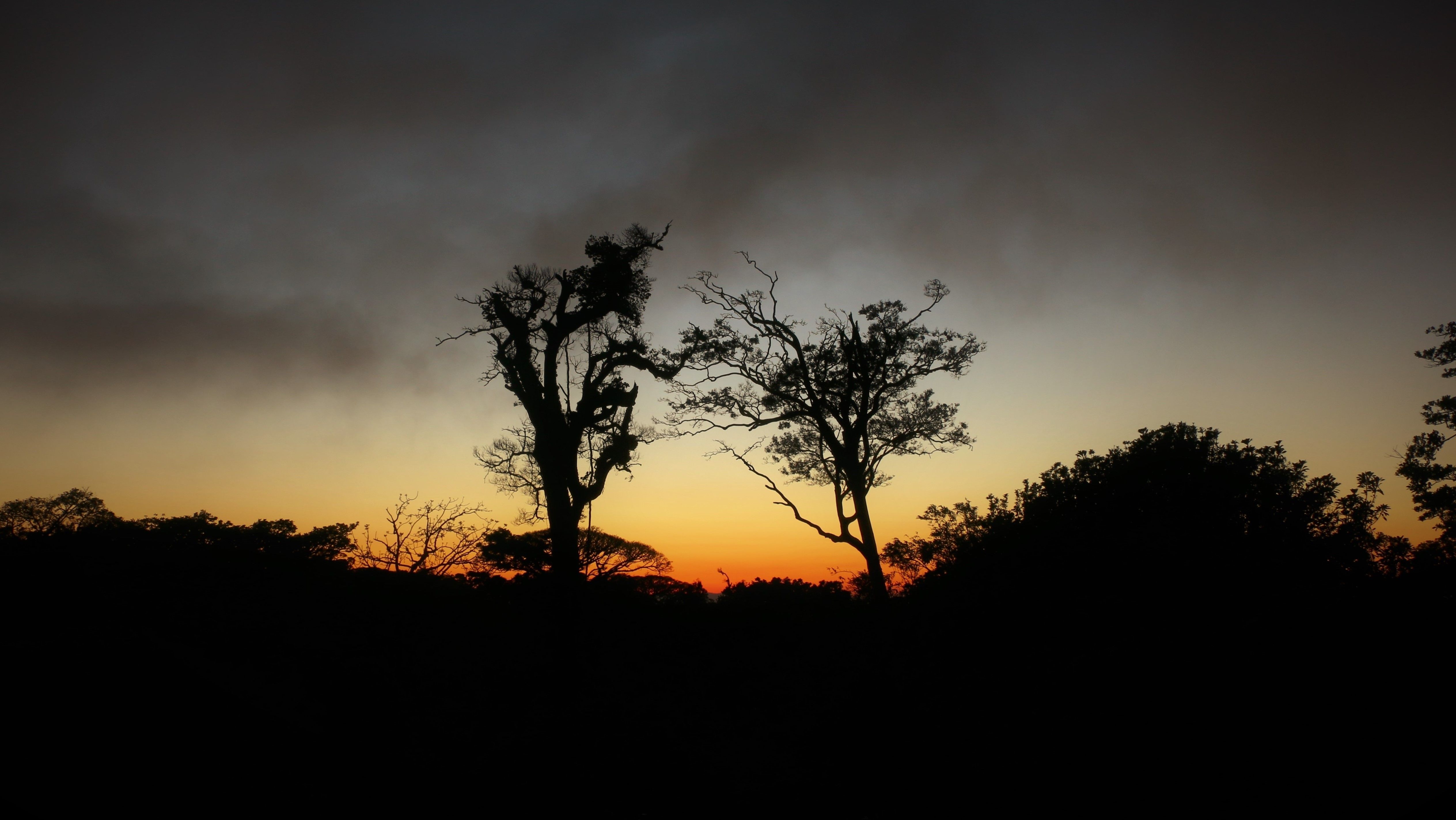 Silhouette of trees against a vibrant sunset sky in Monteverde, Costa Rica.