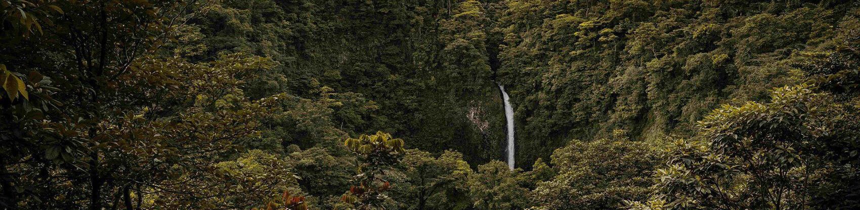 Wasserfall, umgeben von üppiger Vegetation, im Nebelwald von Monteverde bei Sonnenuntergang.