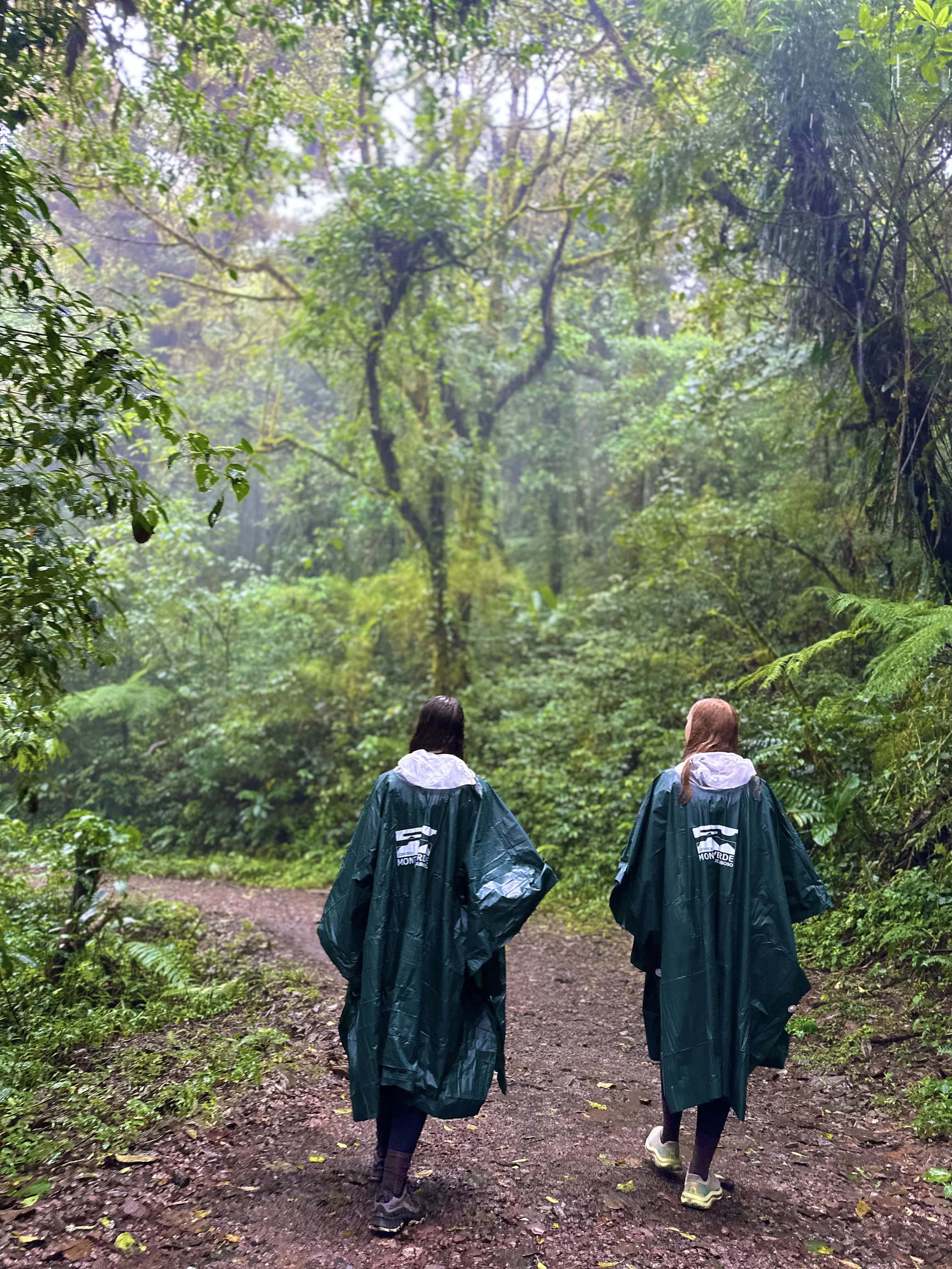 Monteverde Reserve: A Cloudforest Walk