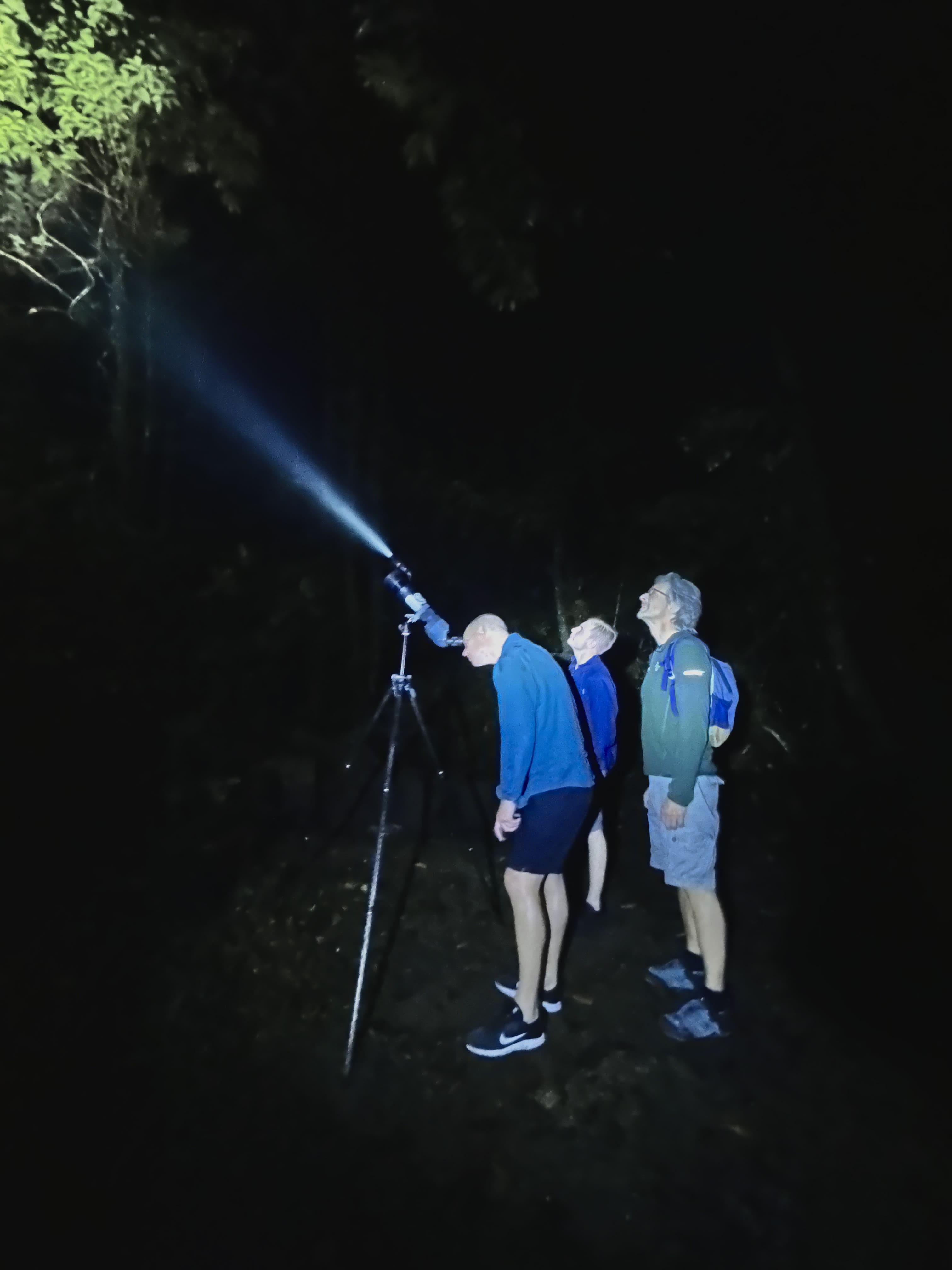 Night Vision Walk: Exploring Monteverde’s Hidden Wildlife