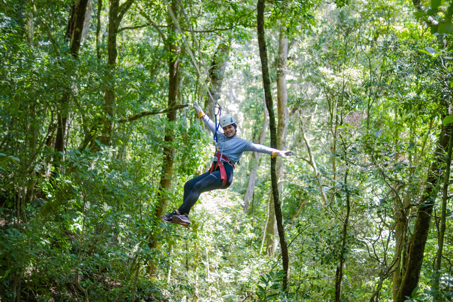 The Original Canopy Tour Monteverde