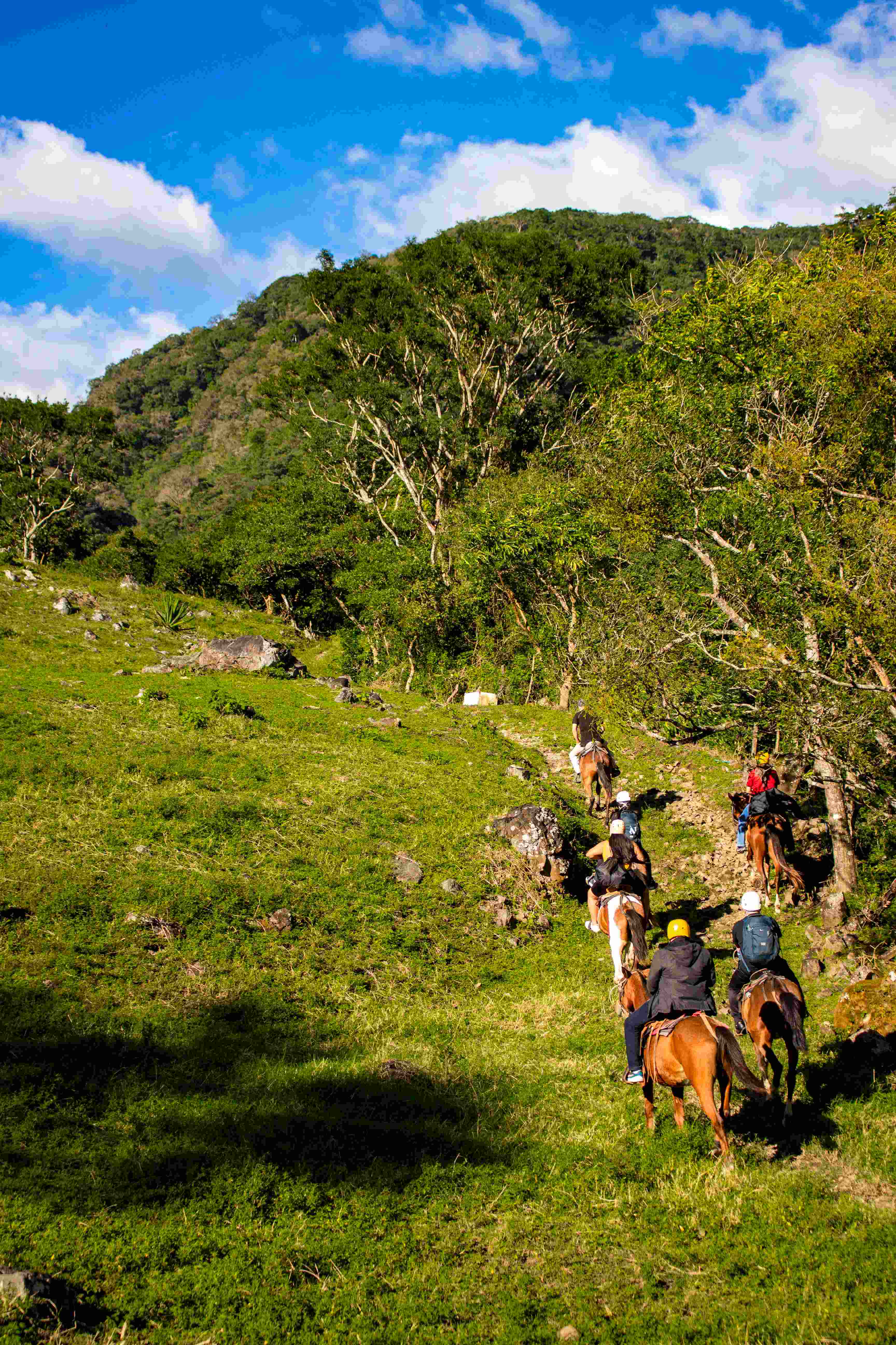 Monteverde Hot Springs and Horseback Riding Adventure