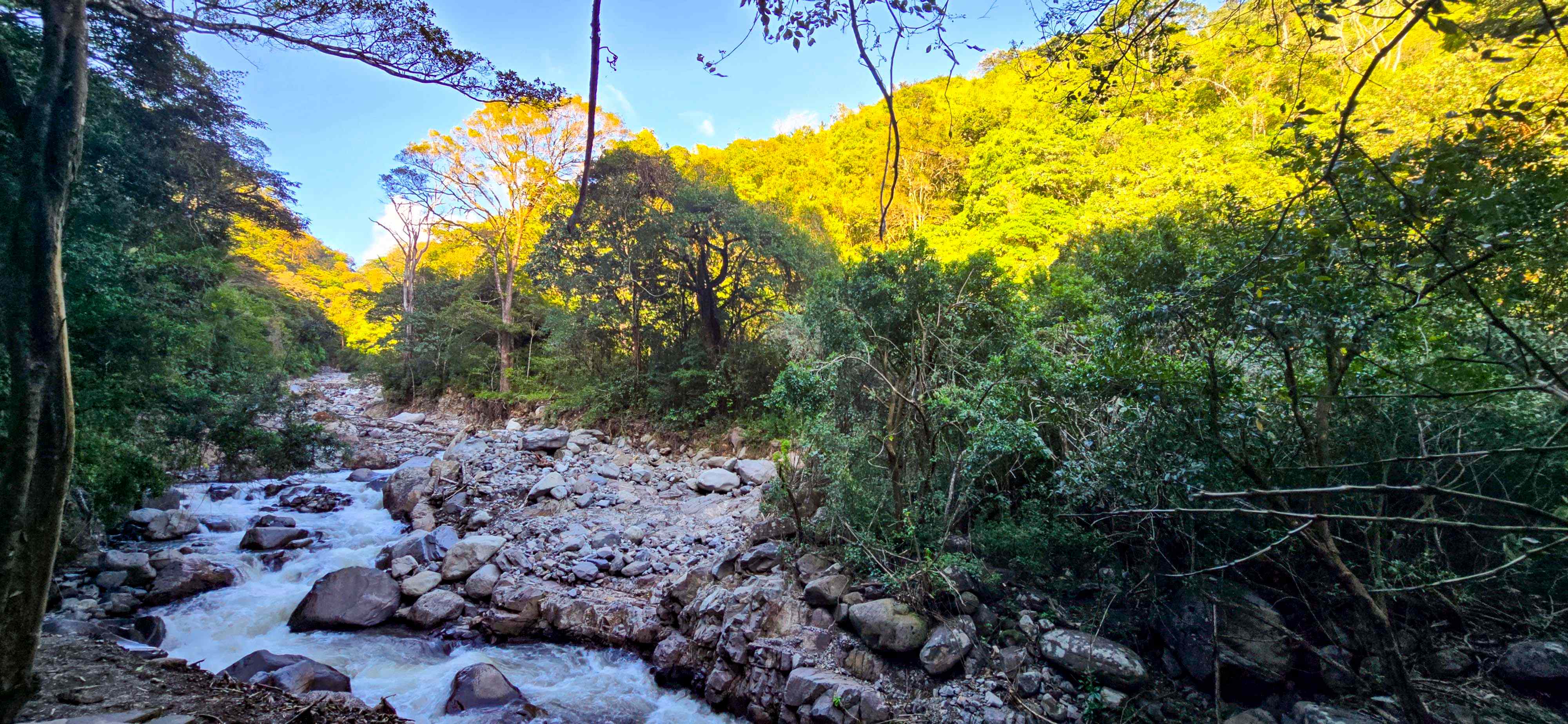 Monteverde Hot Springs and Horseback Riding Adventure