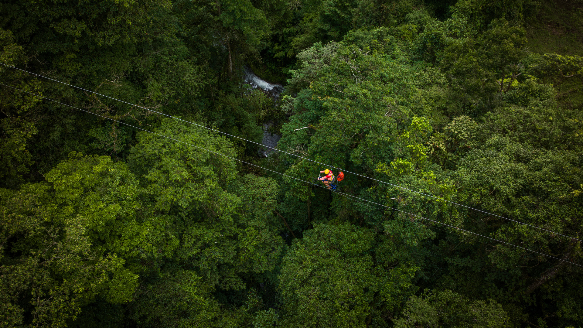 Zipline Bike Adventure