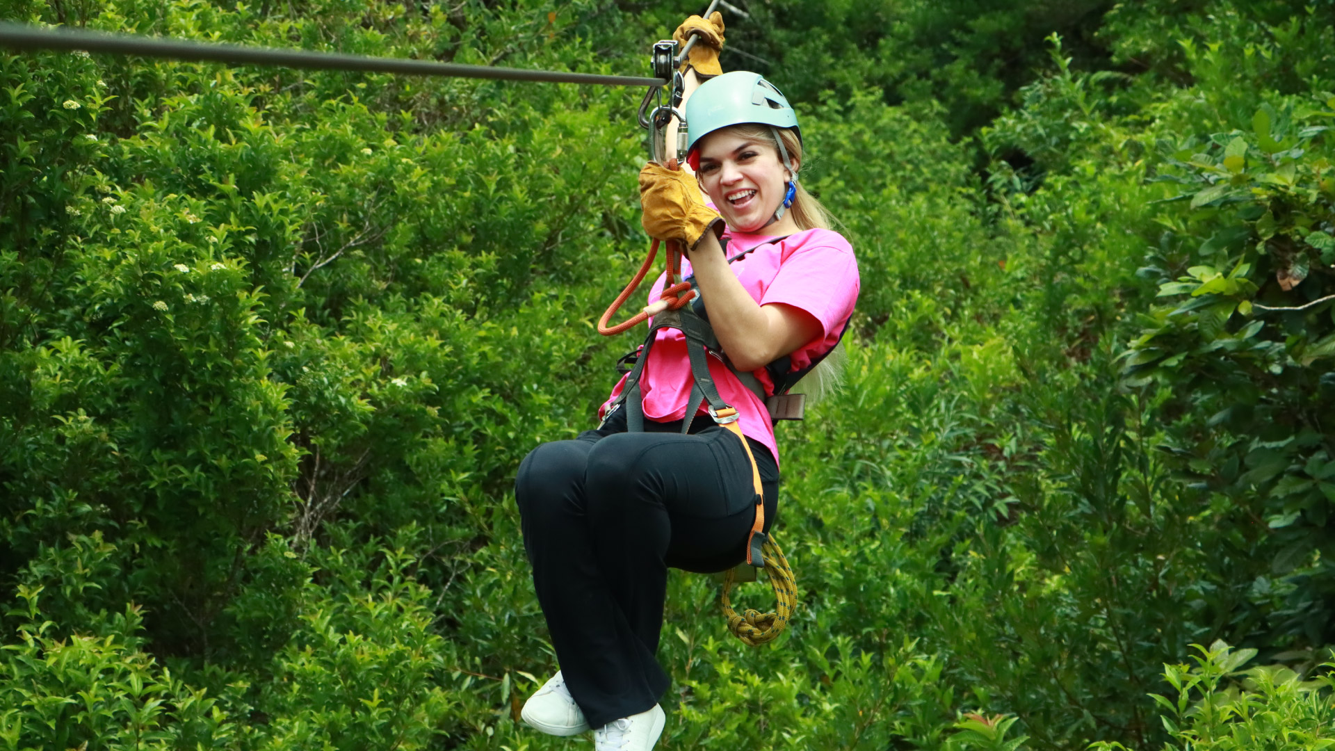 Extreme Canopy