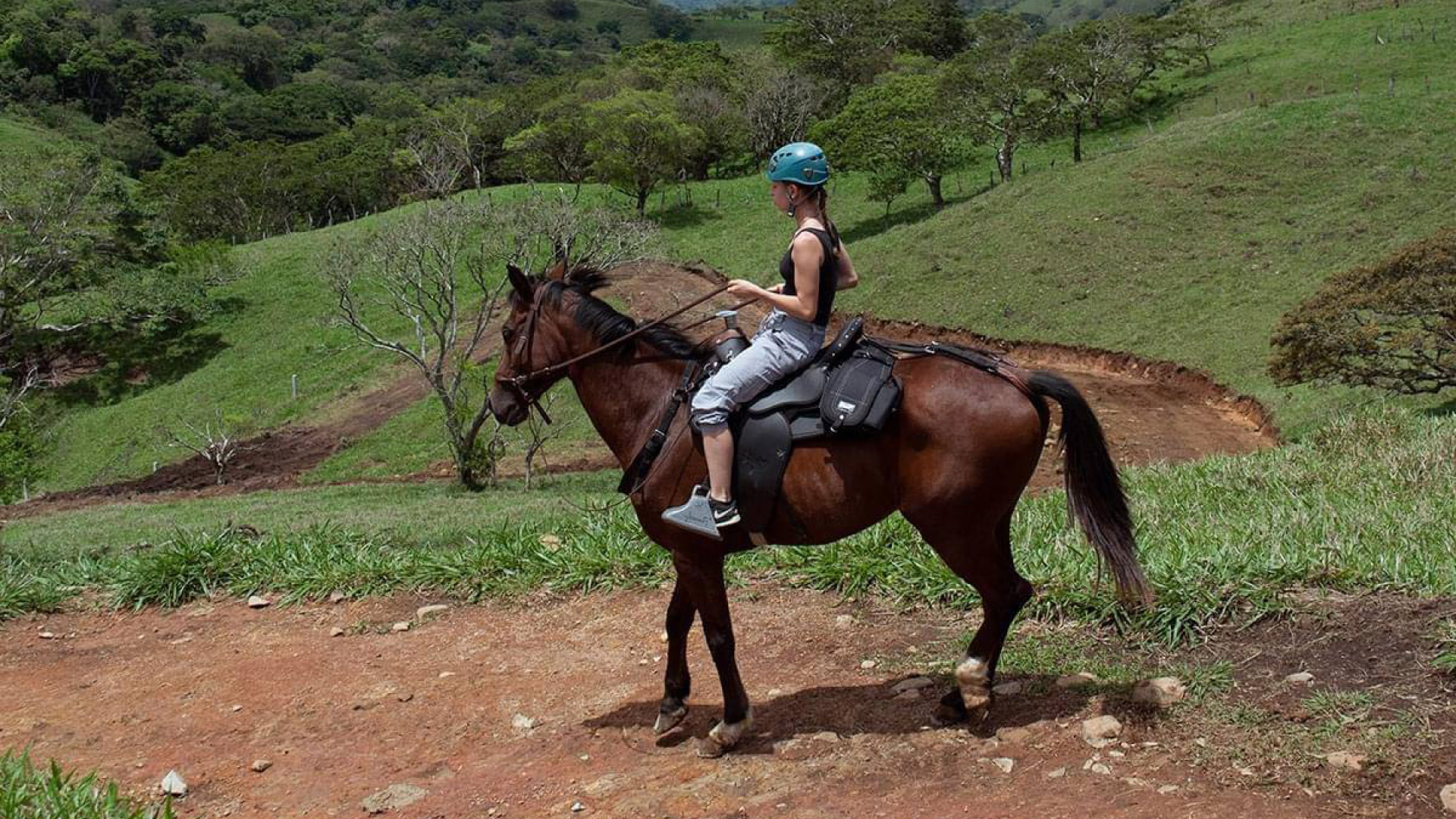 Panoramic Horseback Ride