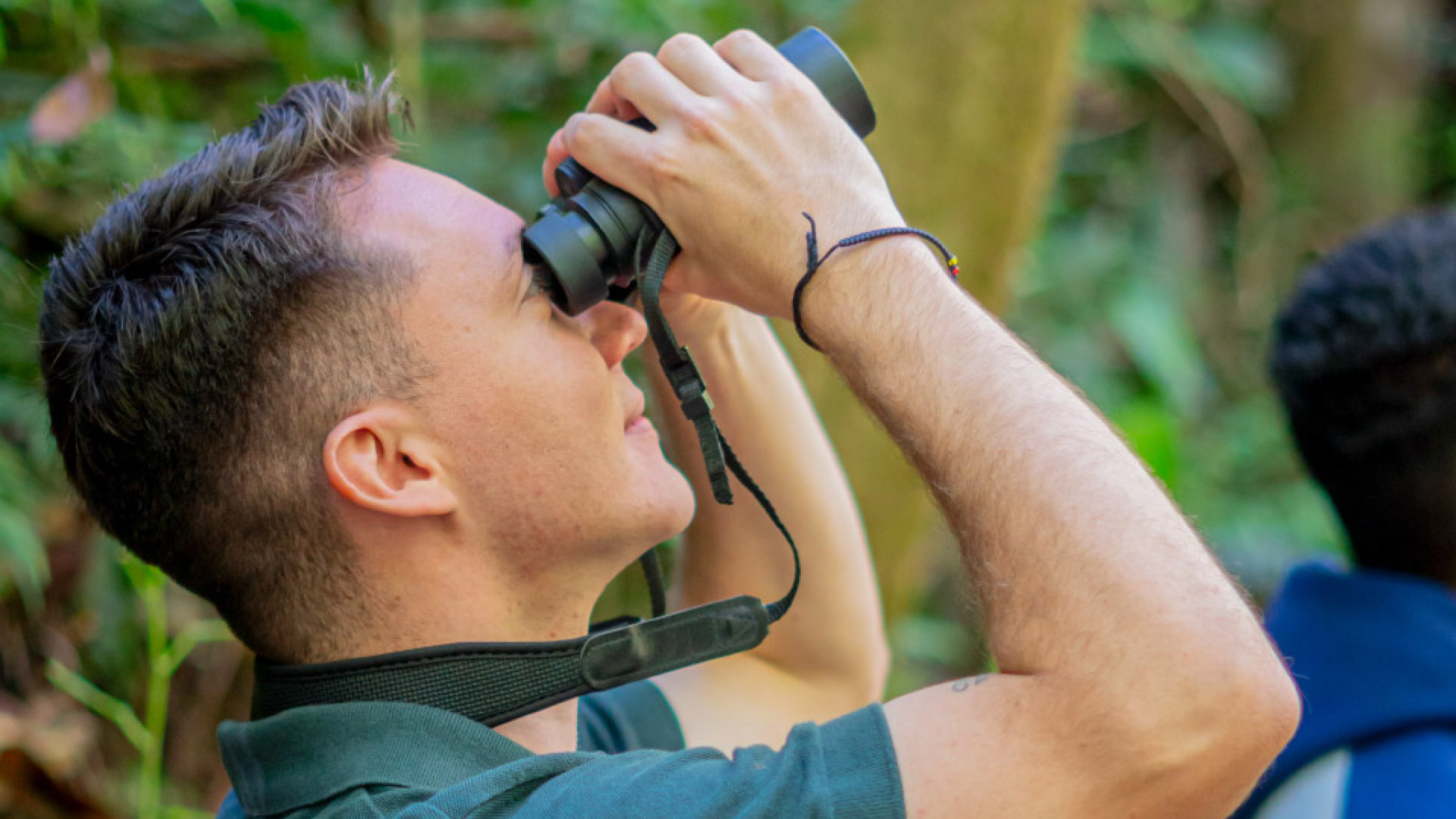 Observación de Aves en Finca Lantana