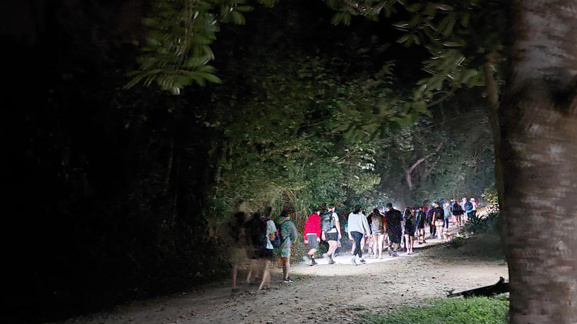 Caminata Nocturna en el Corredor Biológico