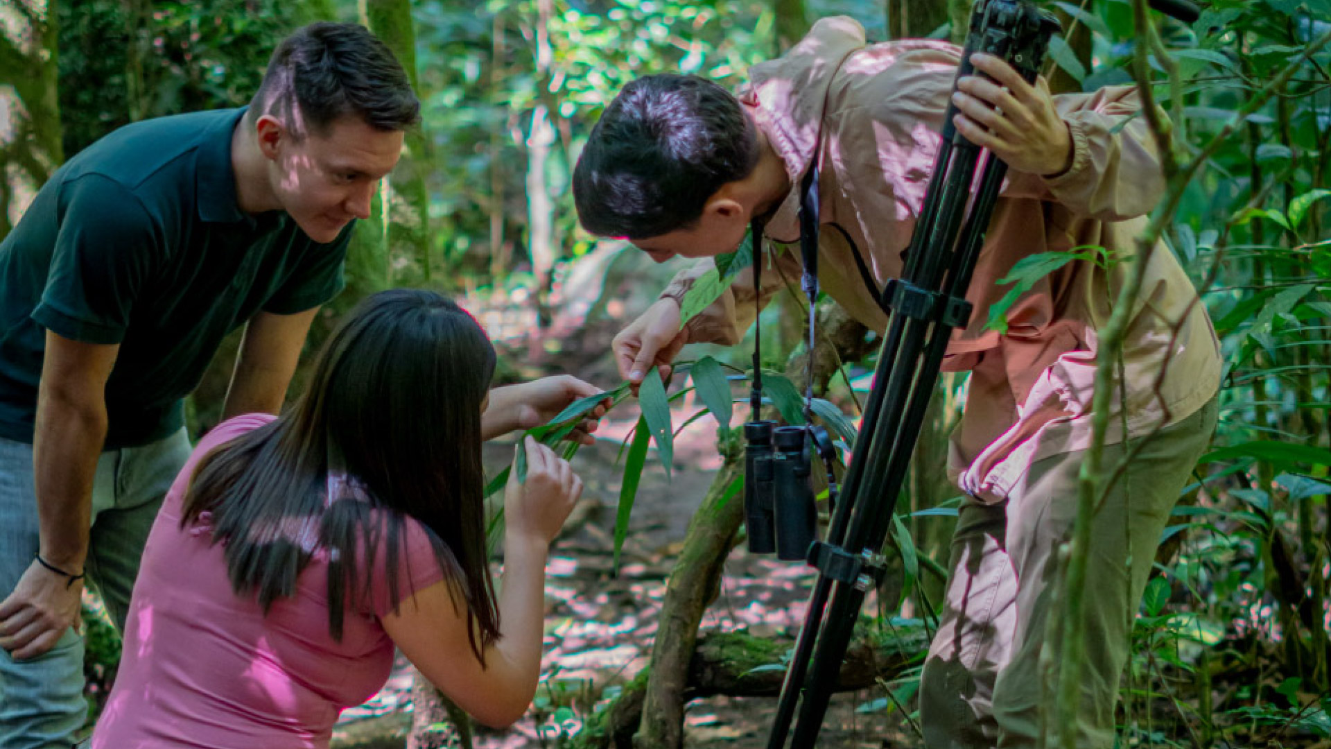 Excursión de Historia Natural