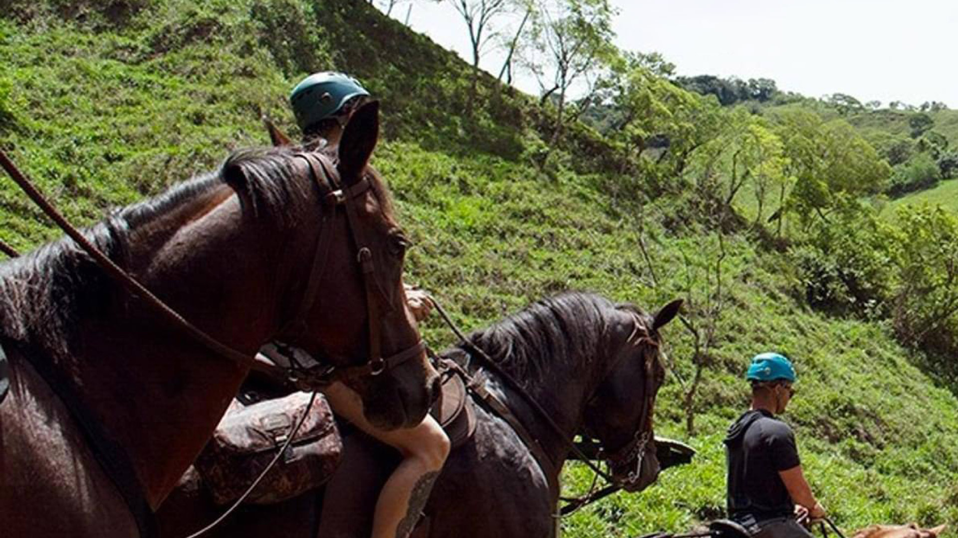 Panoramic Horseback Ride