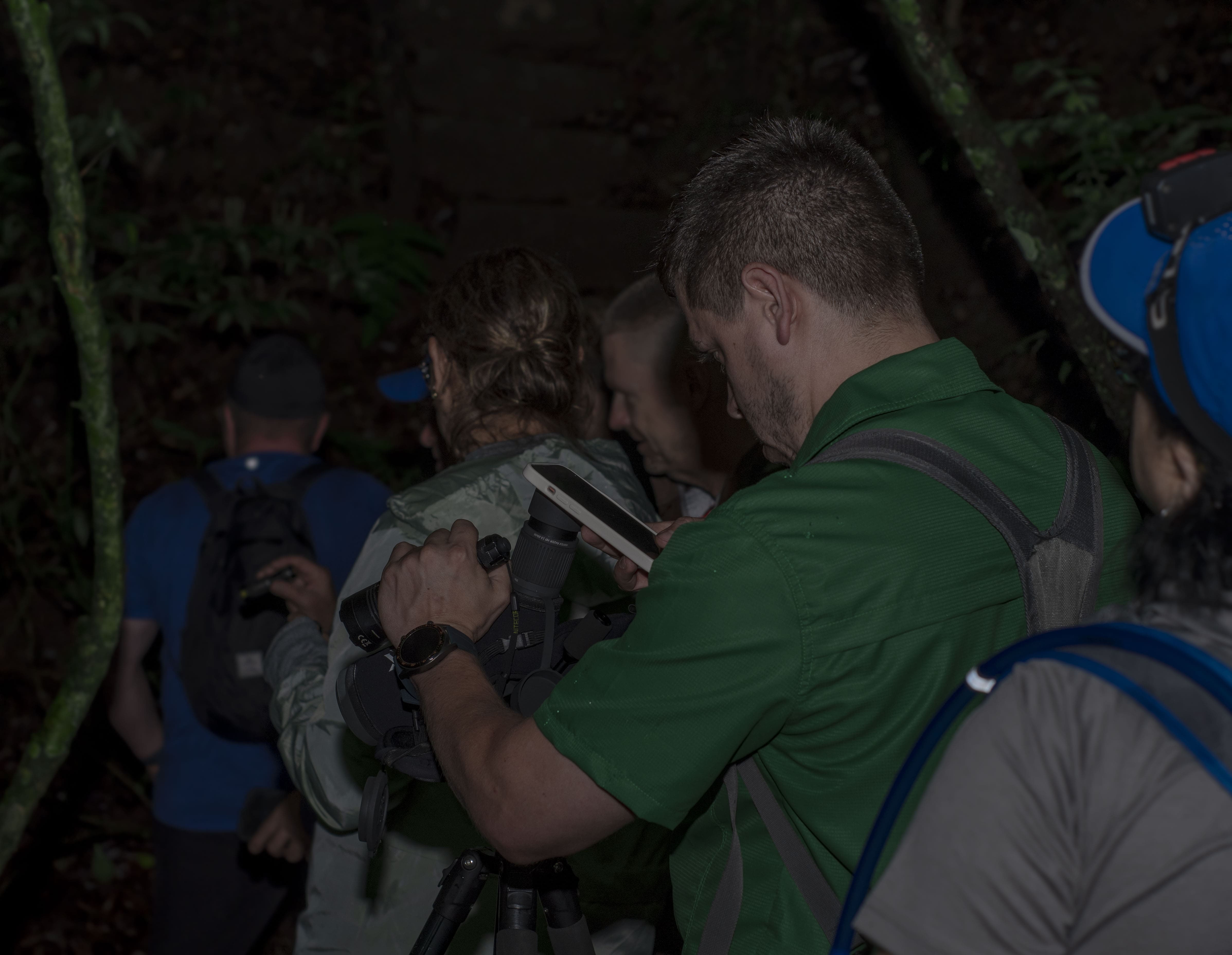 Caminata Nocturna en Monteverde