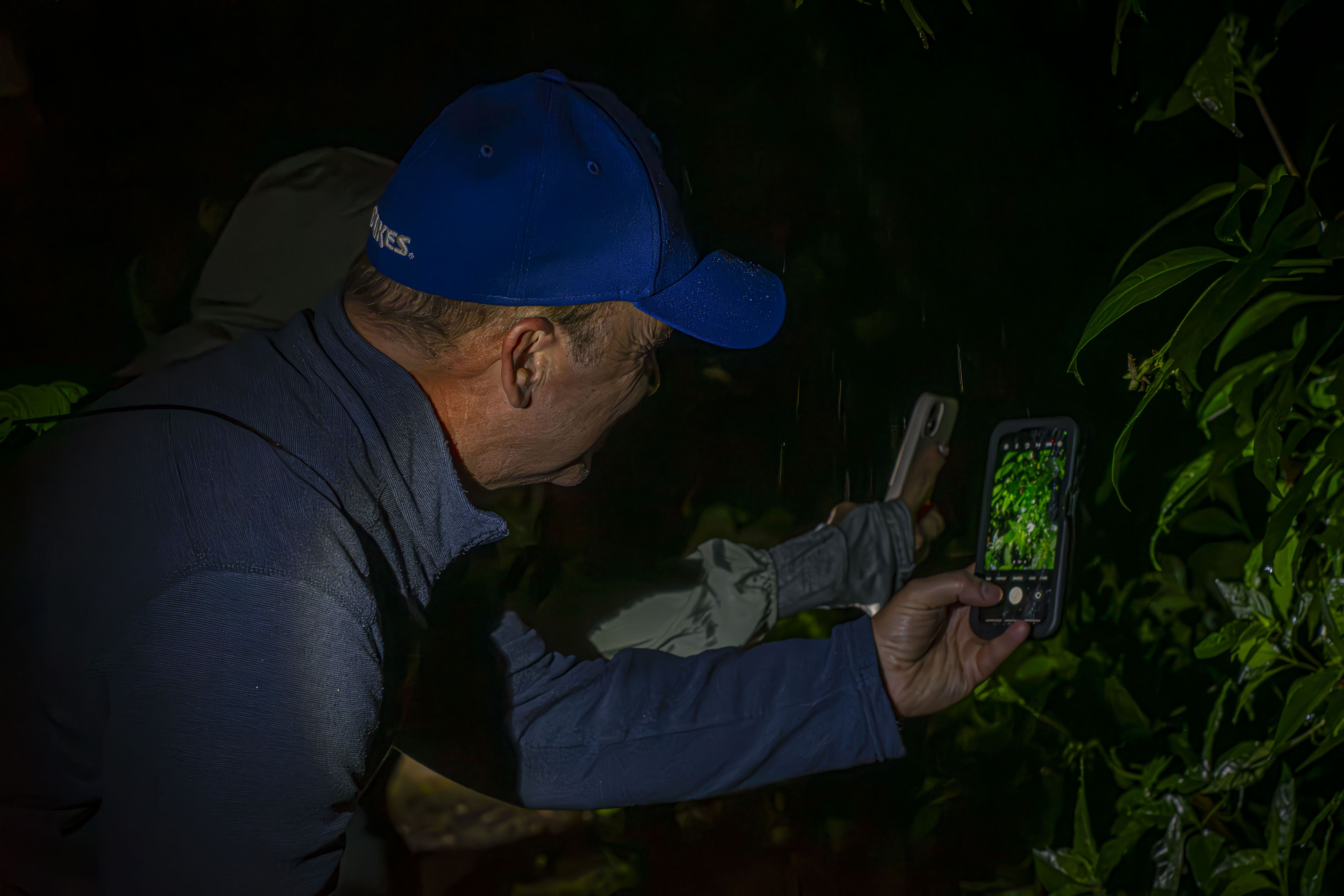 Caminata Nocturna en Monteverde