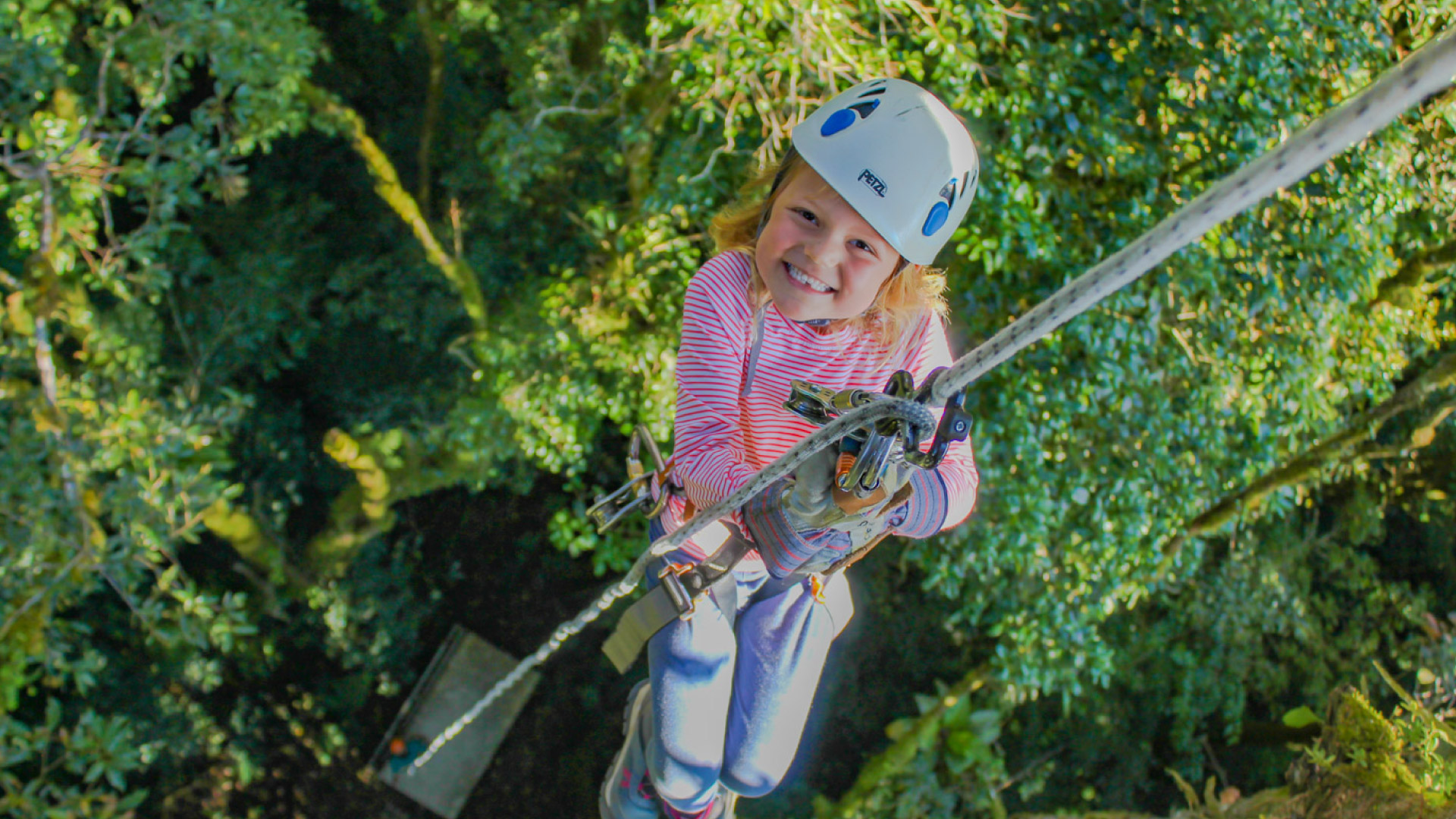 The Original Canopy Tour