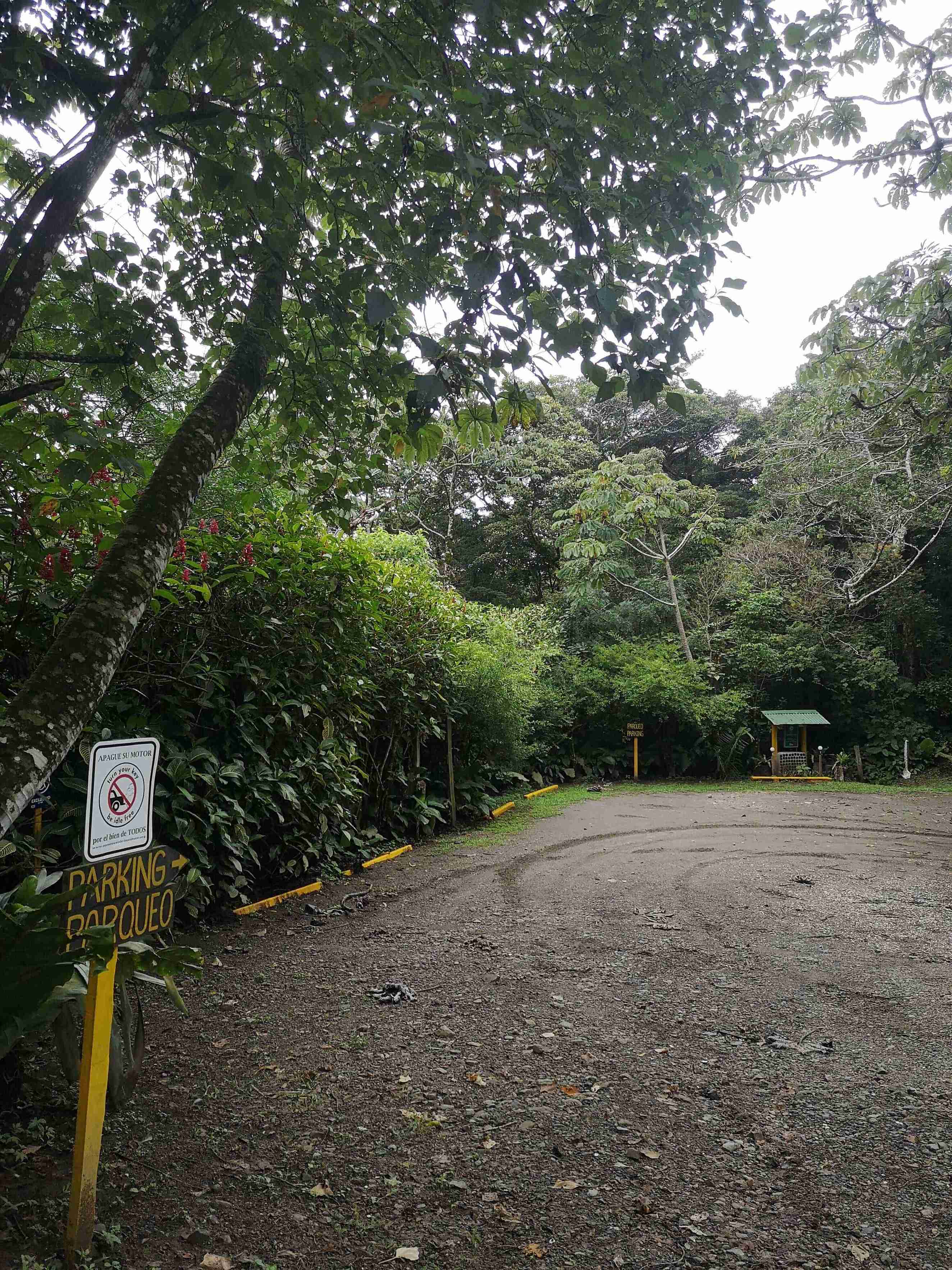 Ruta Natural por el Santuario Ecológico Monteverde