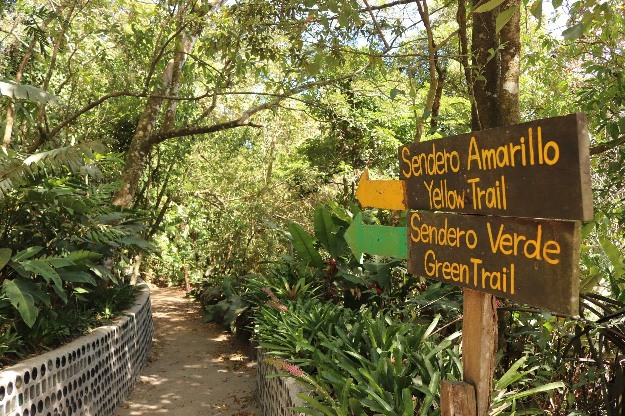 Ruta Natural por el Santuario Ecológico Monteverde