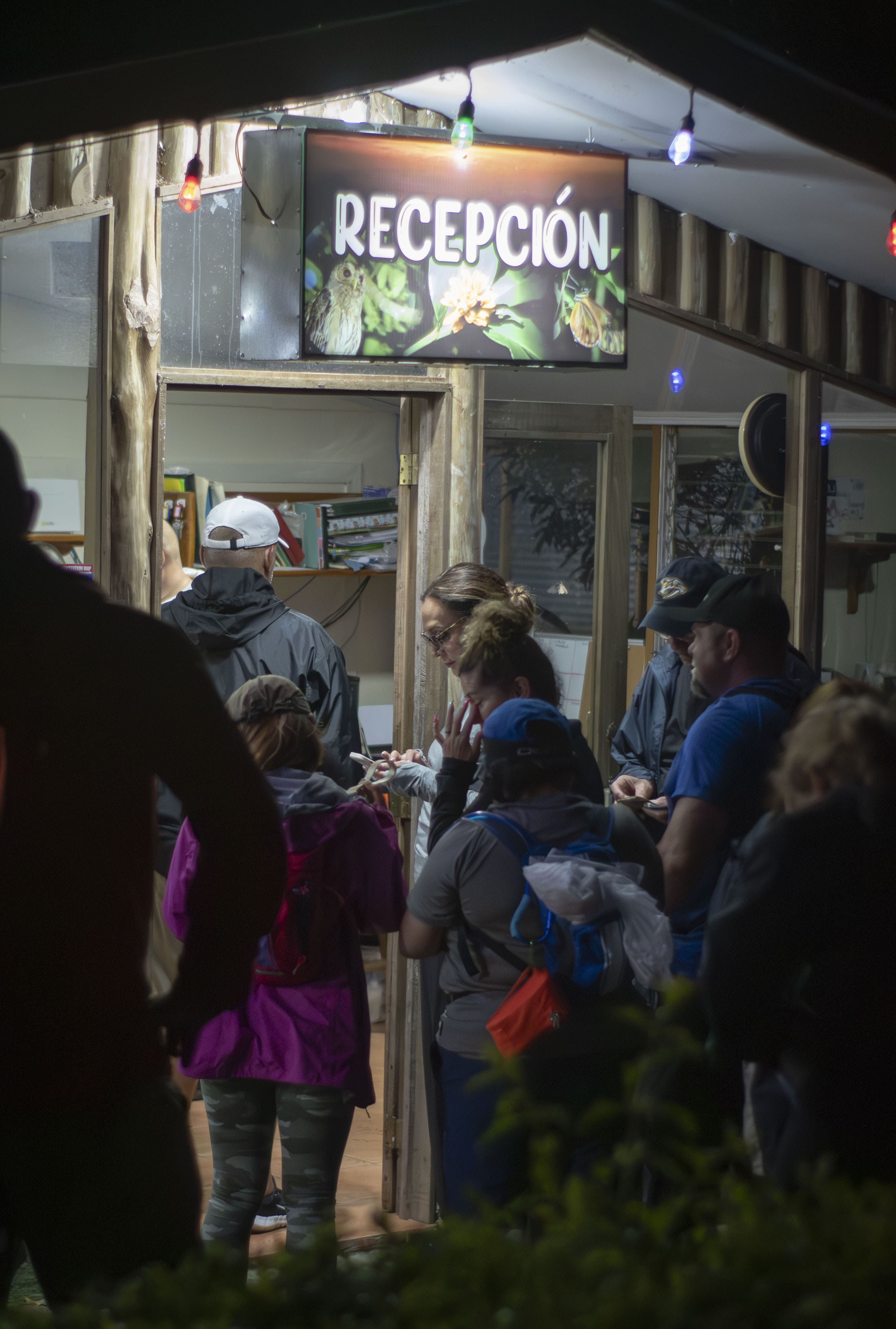 Caminata Nocturna en Monteverde