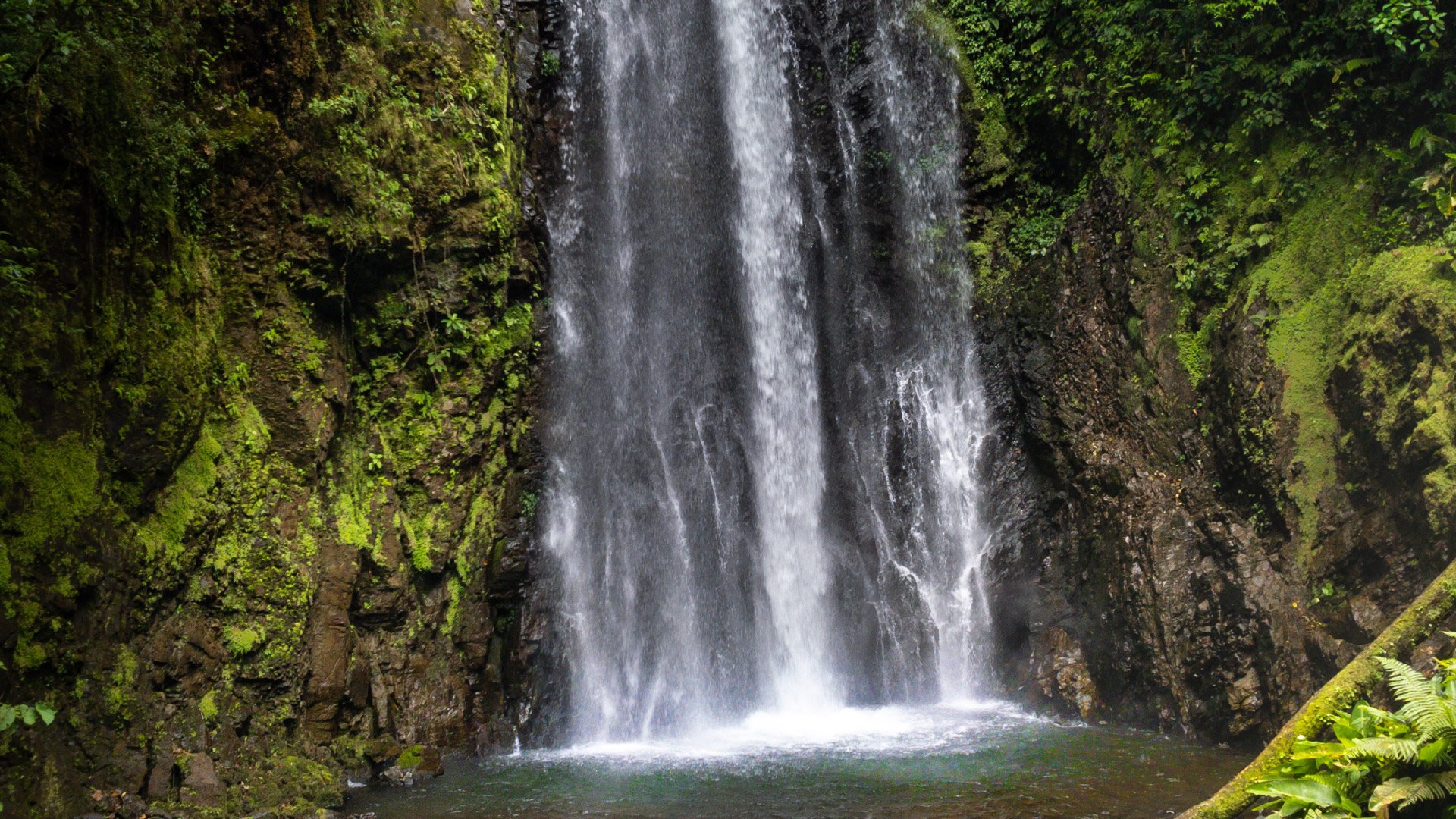 El Tigre Waterfalls Expedition - Deluxe Version