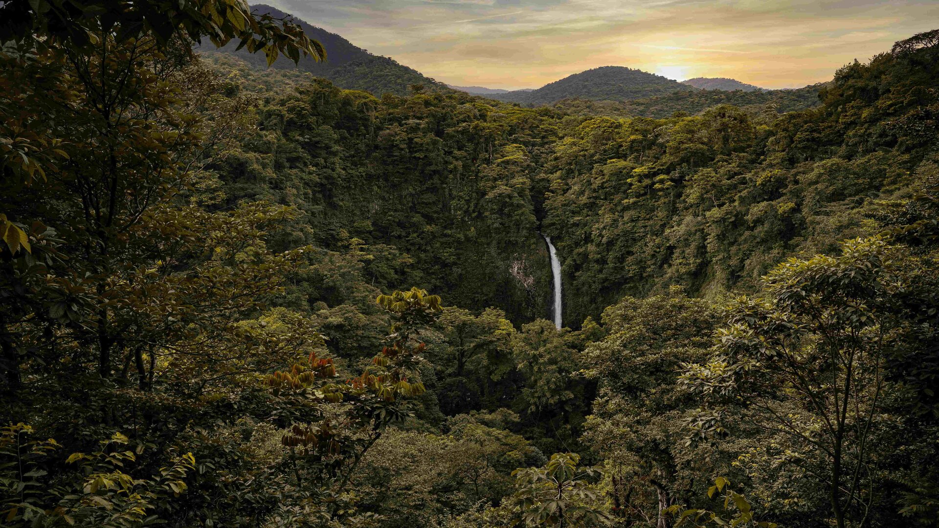 A panoramic view of a waterfall surrounded by Monteverde’s dense cloud forest at sunset.