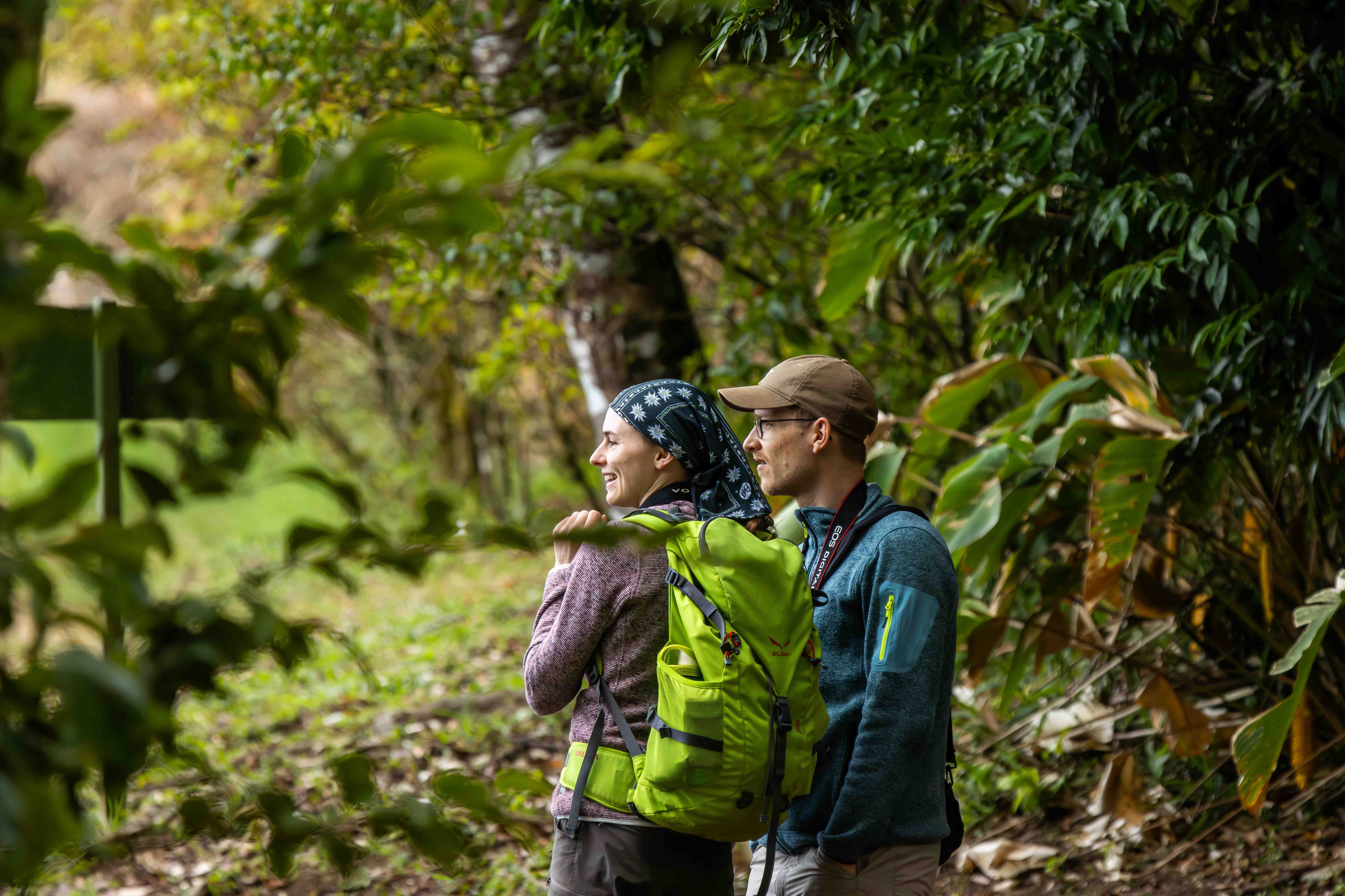 A couple hiking through Monteverde's vibrant forest.