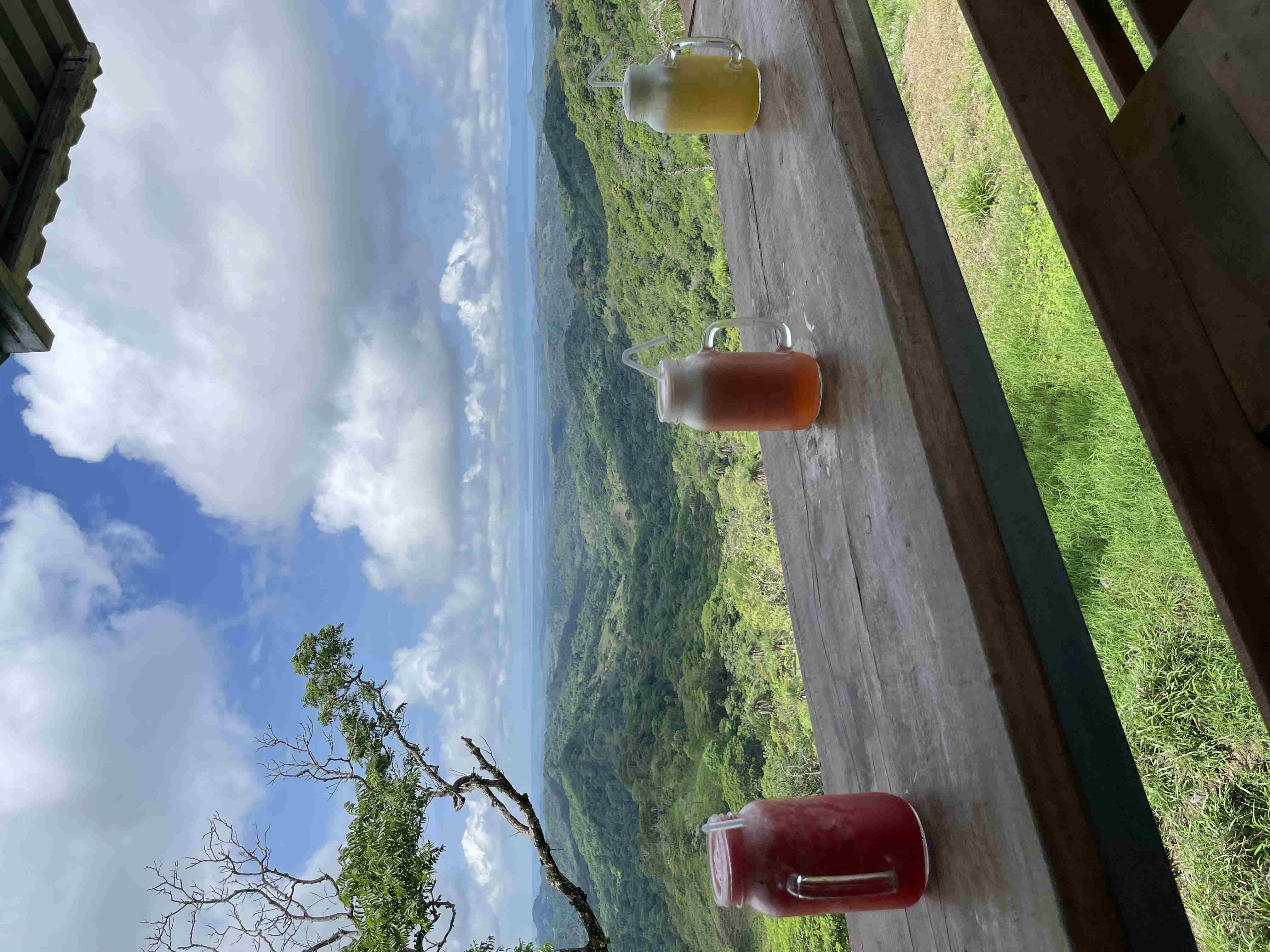 Three refreshing drinks on a balcony overlooking the stunning landscapes of Monteverde, Costa Rica.