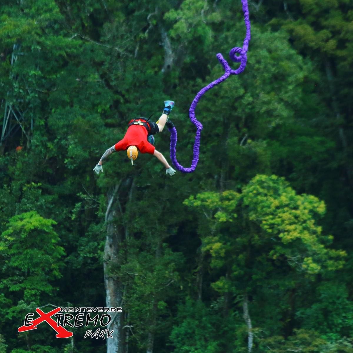 A bungee jumper mid-dive with a vibrant green forest backdrop at Monteverde Extremo Park.